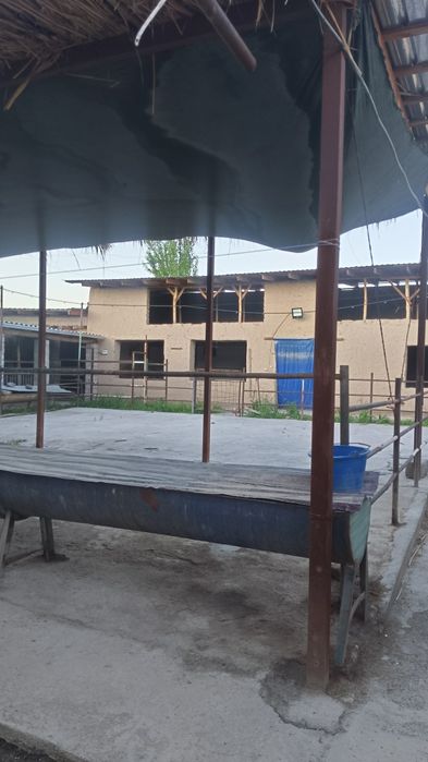 Продается свой дом участок  очень срочно