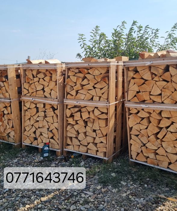 Lemne de foc esență tare fag tăiate si sparte paletizate