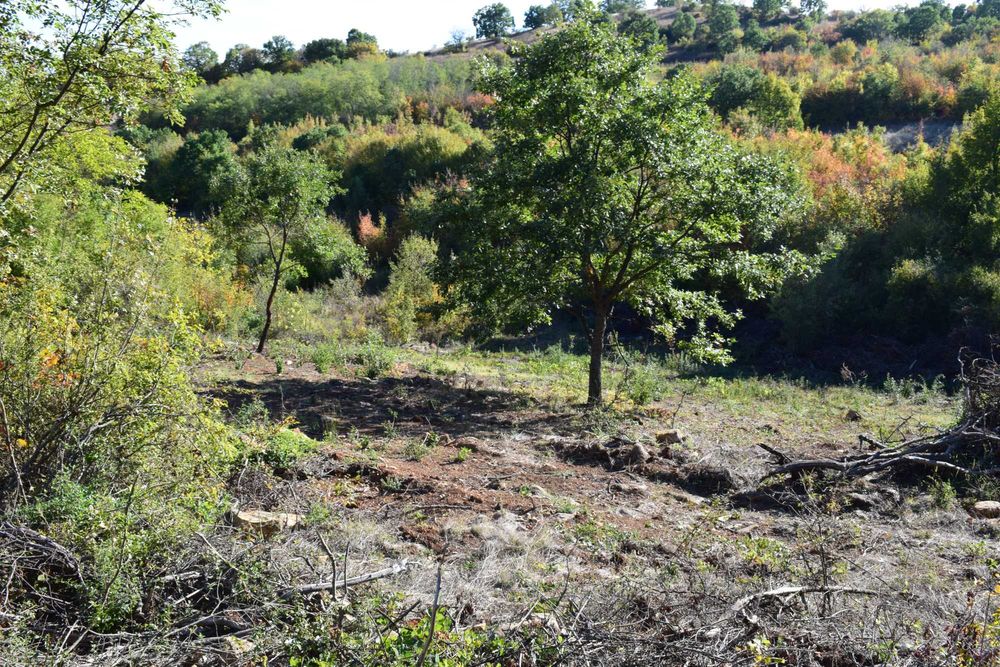 Парцели-Вилна зона 7-ми километър