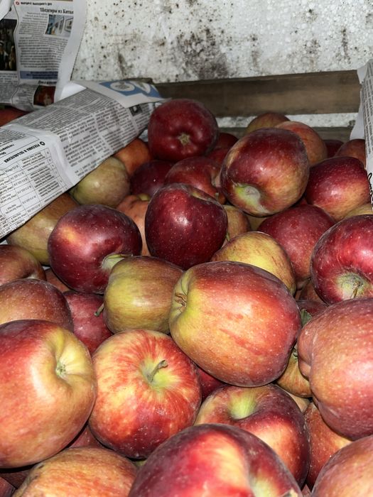 Продам яблоки первый сорт