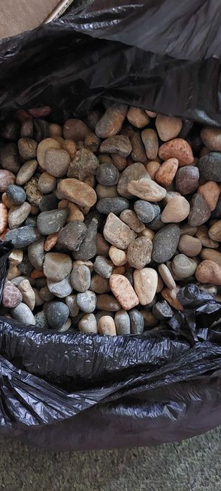 Аквариум 50 л с нови камъни, филтър SunSun, и анубиас