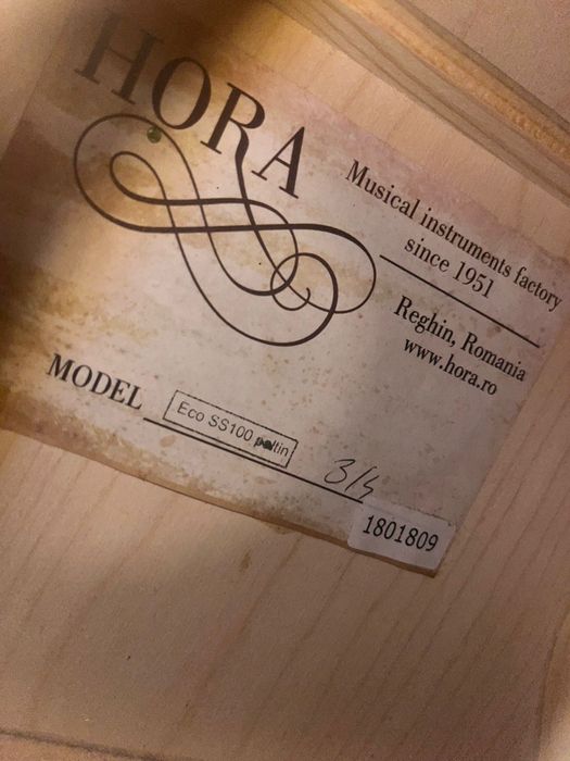 Chitară hora întreținută