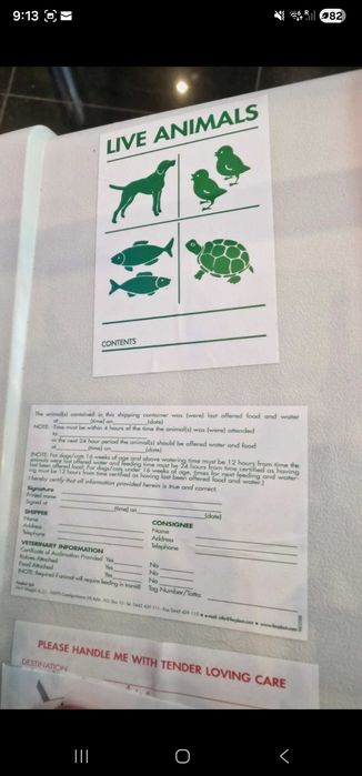 Cusca iata noua caini skudo 7 cu roti si stickere