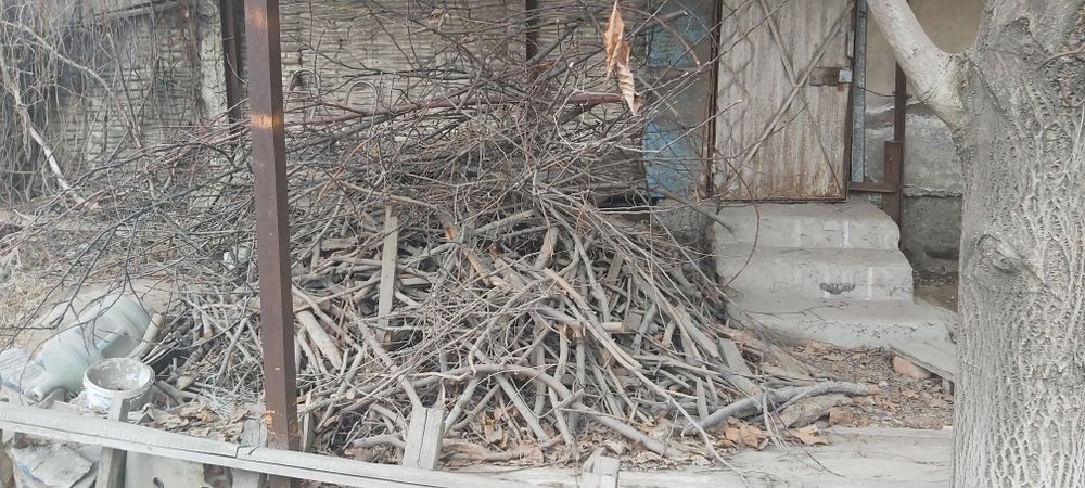 Дрова в пос. Кыргауылды