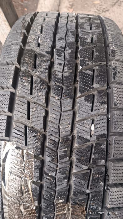 Шины Dunlop зимние