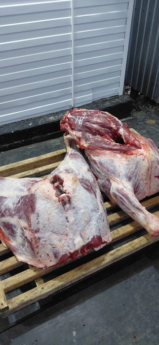 Мясо говядины конины баранины