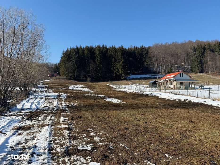 Teren intravilan 4521mp lângă pădure-valea Doftanei -Calea Brasovului