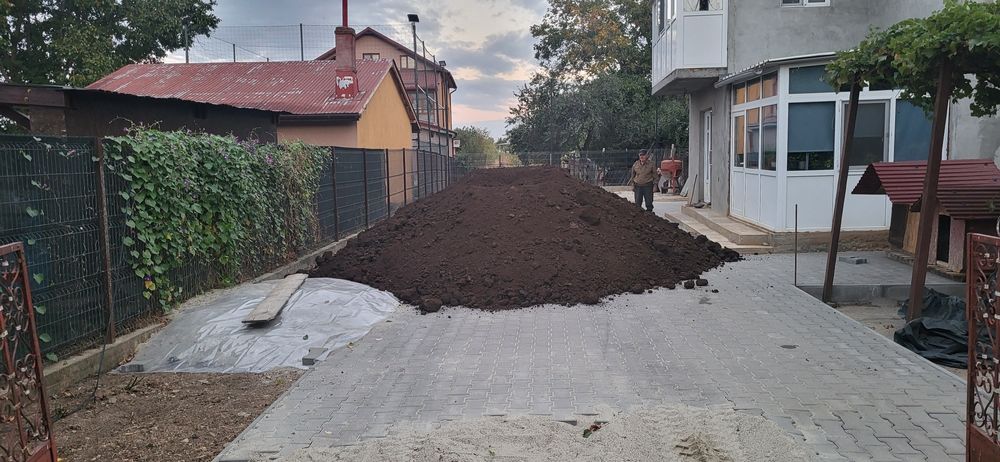 Pamant negru vegetal