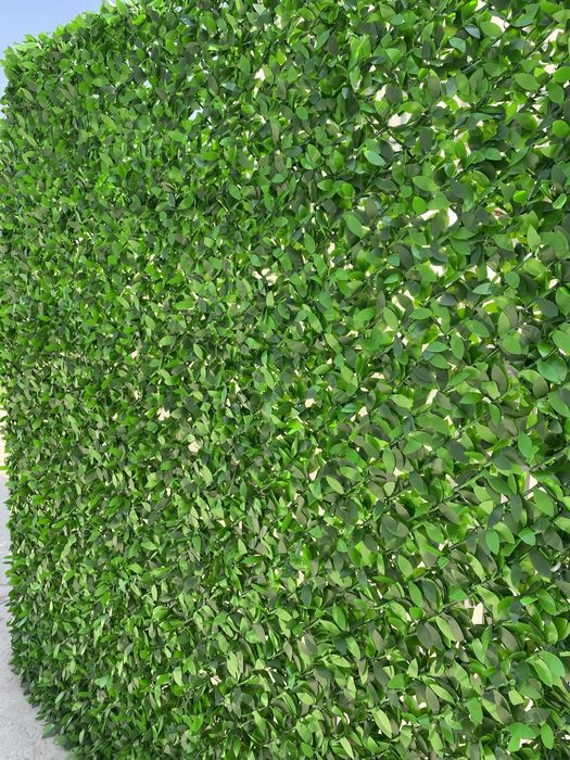 Evrozabor Suniy zabor