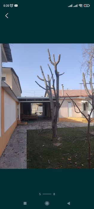 Sadovnik bogʻbon xizmati