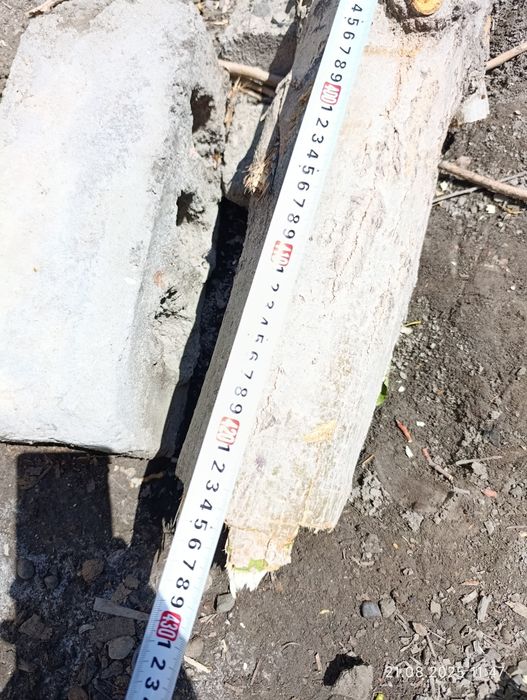 Продам тополь на дрова.