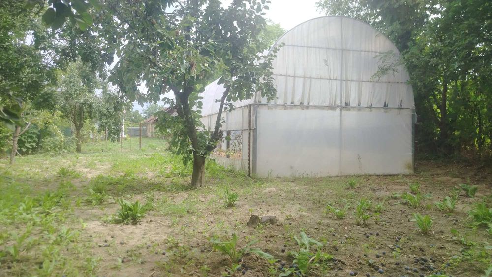 Particular casa la tara rustica 2100 mp, cu livadă, solar legume și utilitati - la aproximativ 60 km de București
