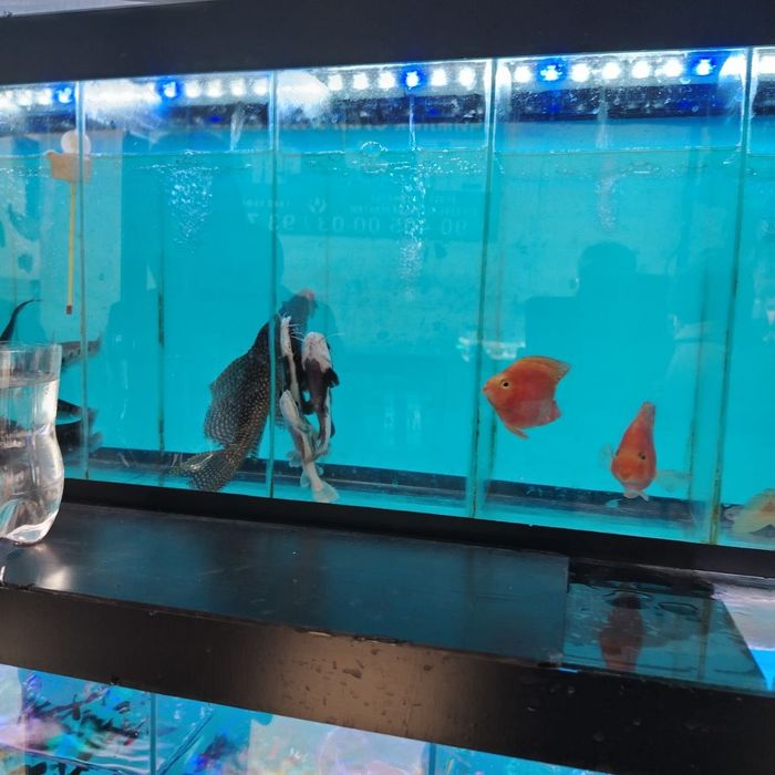 Аквариум сотилади