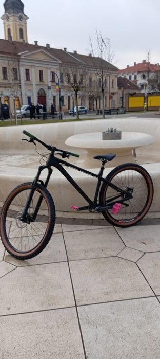 Vand Hardtail agresiv Ns Eccentric alu evo 29