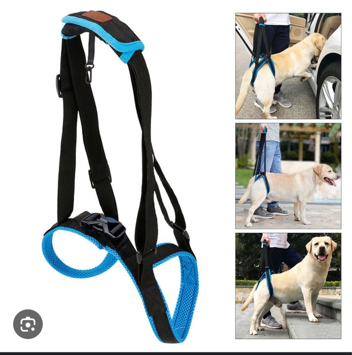 Нагръдник за подпомагане на задни крака на куче