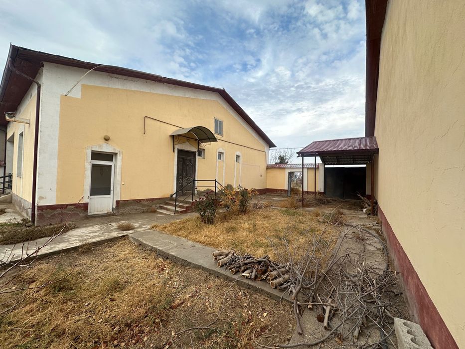 Katej kotej катеж