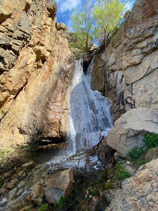 Продается КХ 850 га плодородными полями.