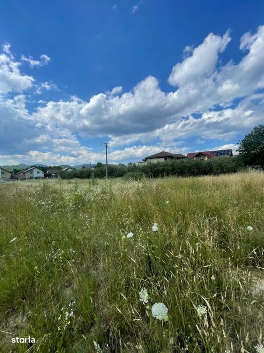 Teren intravilan, toate utilitatile, 14,56 arii, zona Drurelax