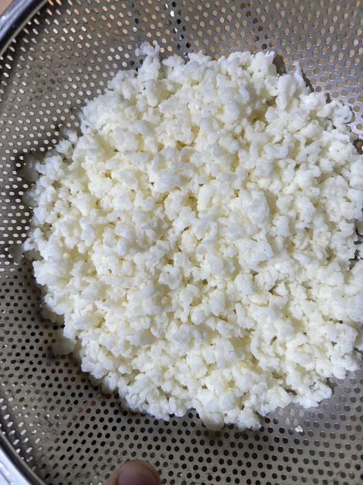 Ciuperci tibetane pentru kefir