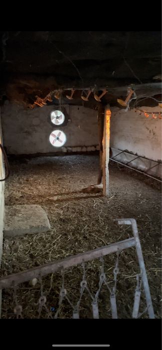 Барча кулайликларга эга дала ховли сотилади