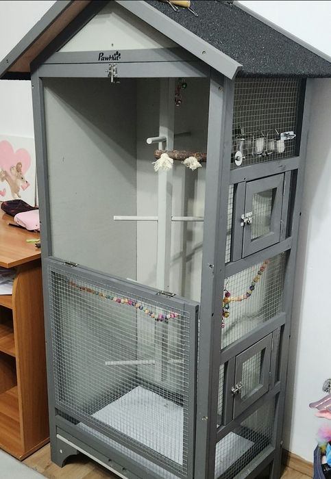 Papagal Micul Alexandru + colivie