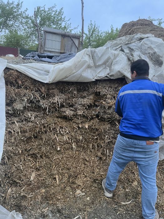 Силос сотилади. Арзон булади