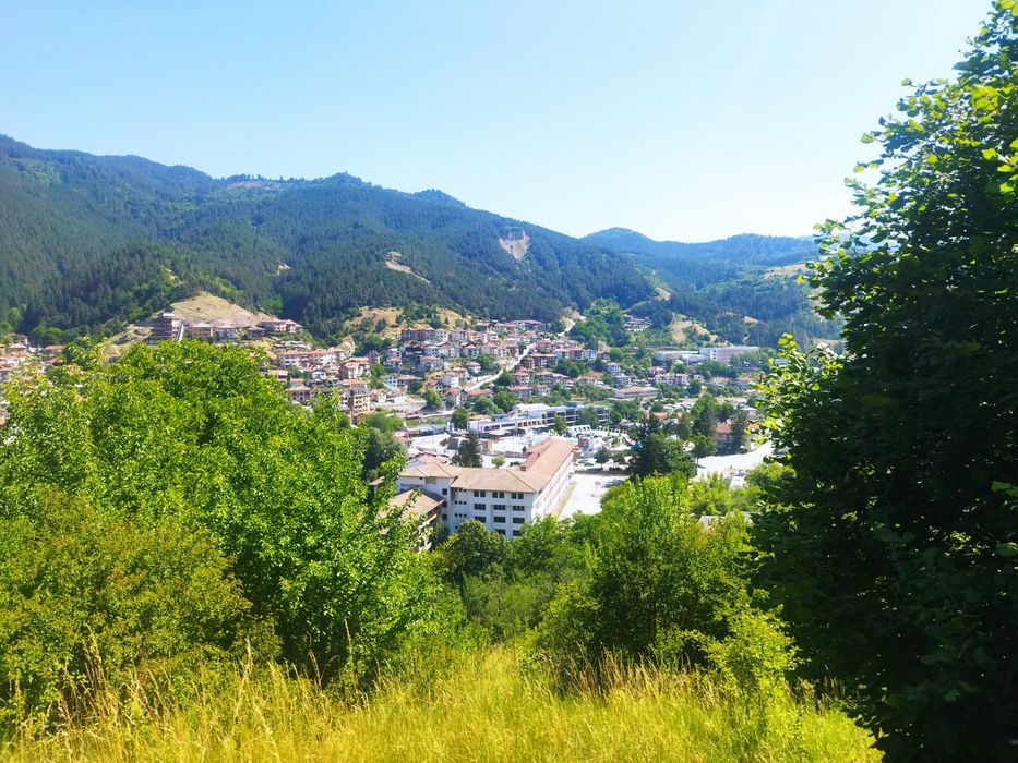 Продава се Парцел в Девин - 6627 кв.м за 61 €/кв.м - Снимка #10