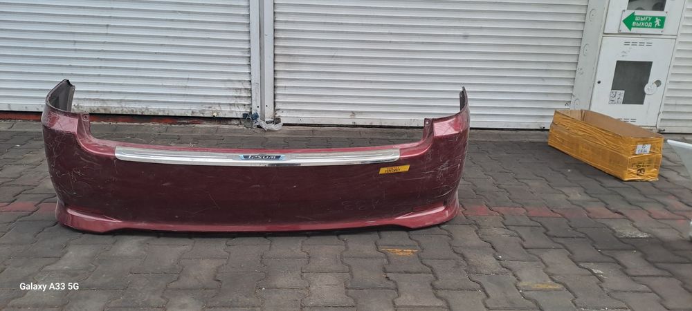 Ноускат для Ипсум