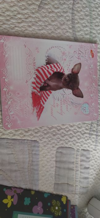 Тетради клетка и линия