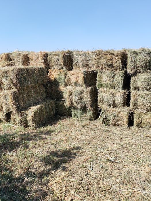 Beda  Makka sorgo aralash press sotiladi.