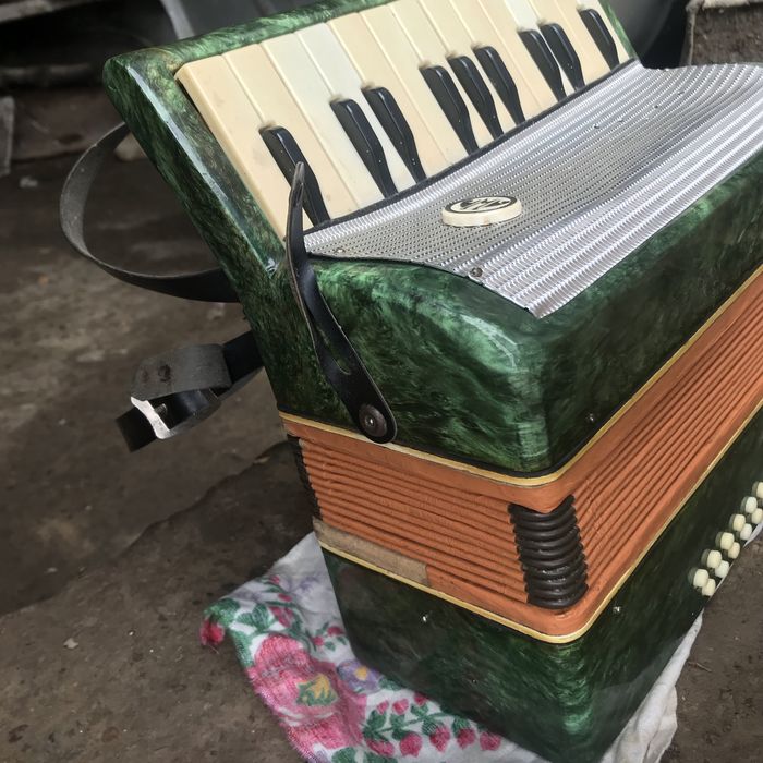 Десткий баян