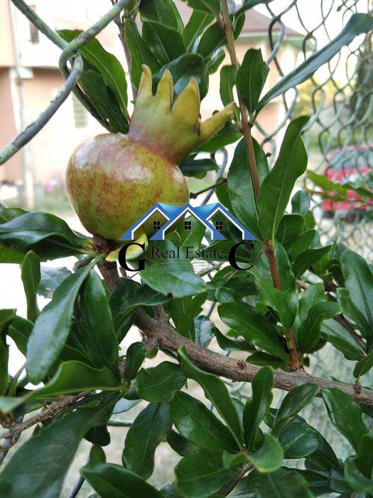 Продава се Къща в Варна, м-т Планова - 131 кв.м за 1222 €/кв.м - Снимка #3