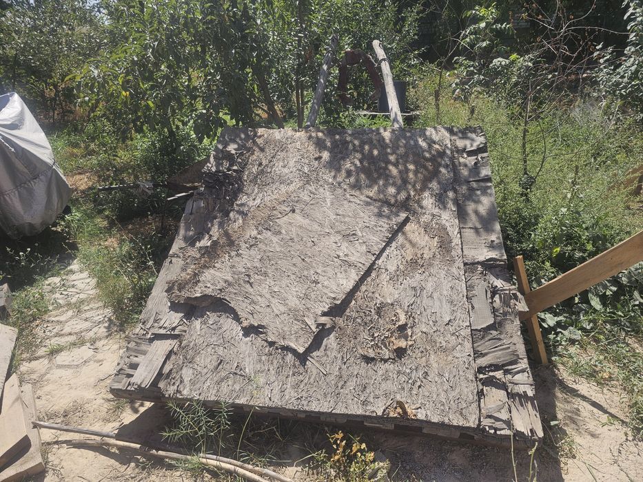 Бричка для ослов ишаков