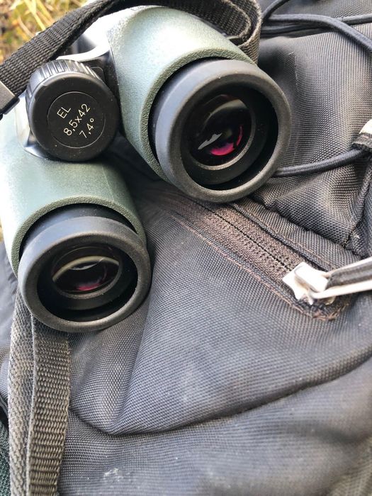 Binoclu Swarovski EL 8.5x42