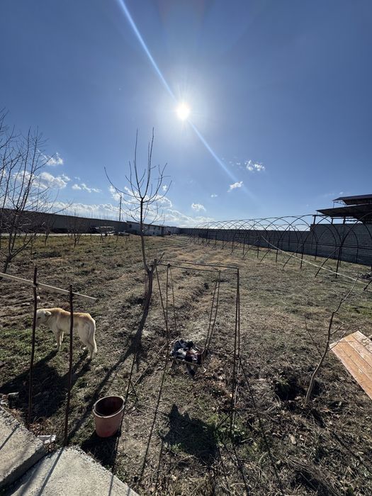 Земельный участок 25 соток вдоль трассы Супер