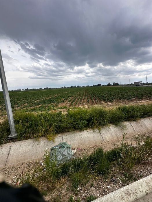 Teren 5000 mp Lungulețu – lângă Piața de Gross