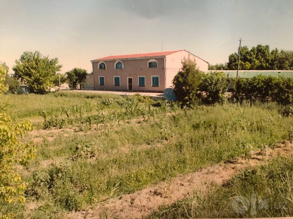 Hovli sotiladi 1 gektar