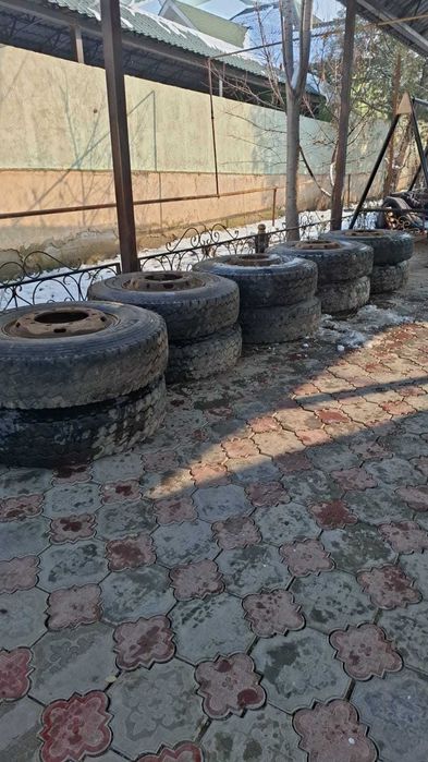 Балон Shahman Howa шансиман хофанын балоны матылады дискасымен