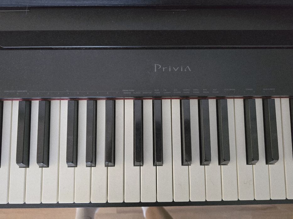 Пианино Casio Privia PX-990BK