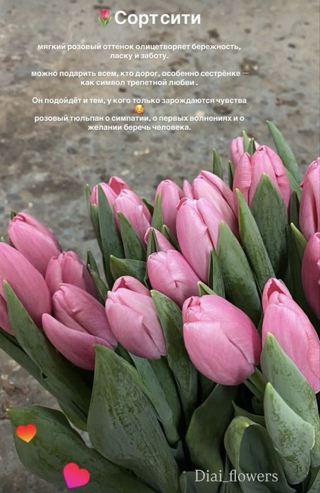 Тюлпаны красивые