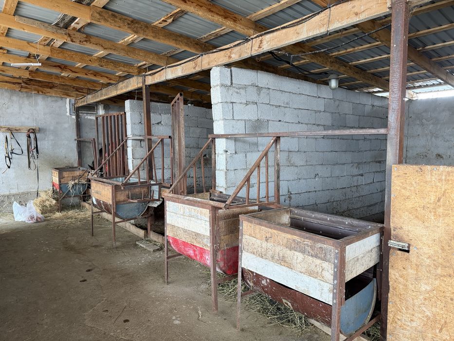 Продам дом с откормом для скота