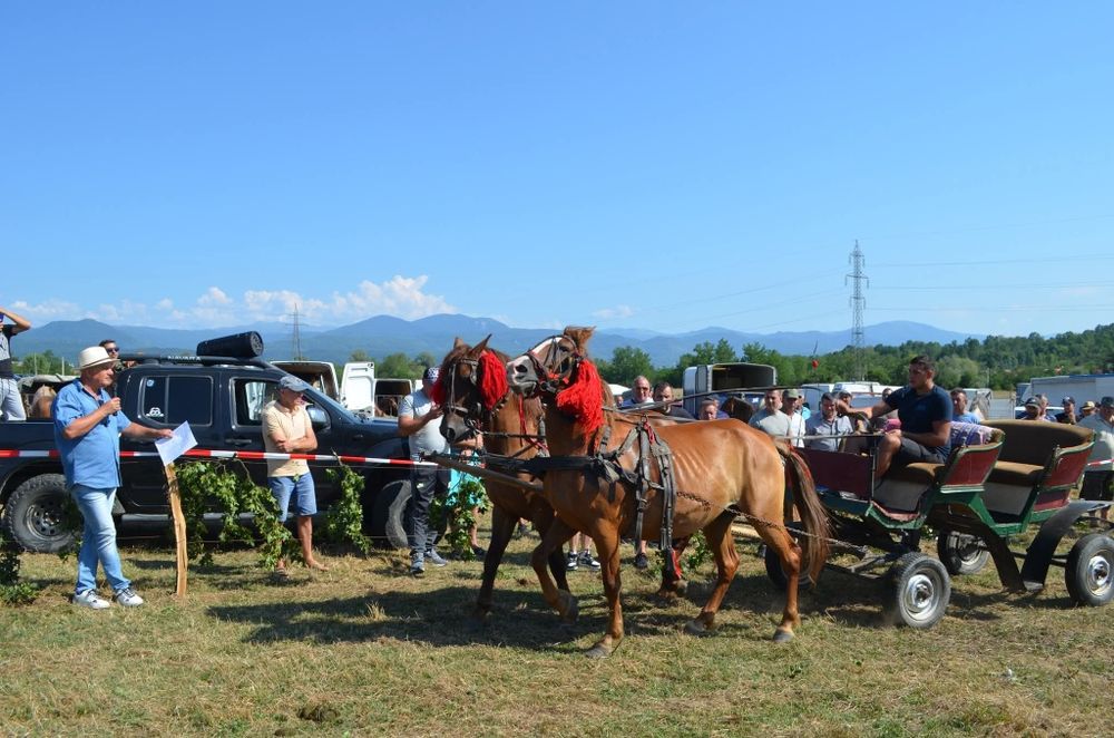 Vând sau schimb o iapa si o cârlană