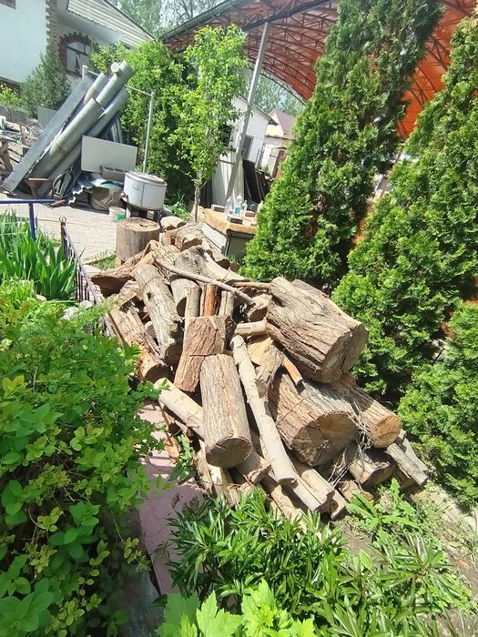 Отындар бар сатылатын