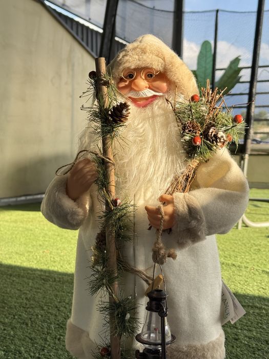 Дед мороз (Санта Клаус)