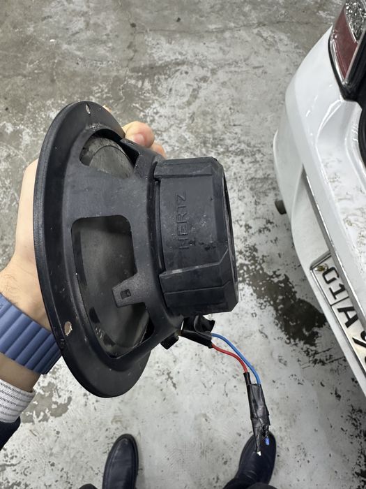 Динамики hertz калонка