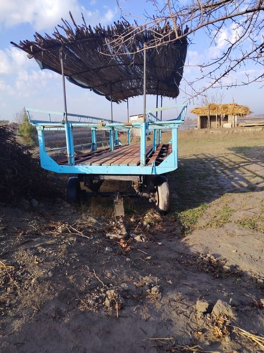 Асалари павелен сотилади