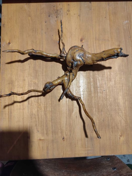 Корен за декорация за дома,градината