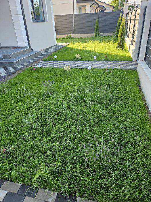 Duplex Miroslava