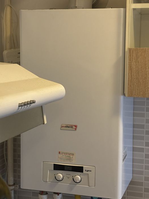 Placa electronica Protherm Lynx