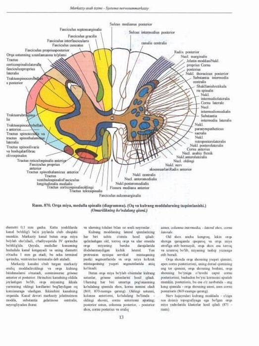 U onasini paypaslamoqda